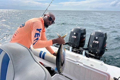 Light Tackle Fishing in St. Lucia