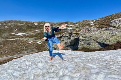 Geiranger-Trollstigen Private Guided Shore Excursion