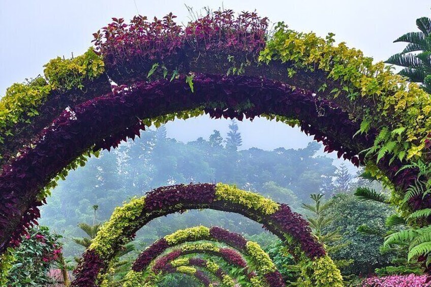 Flower arch