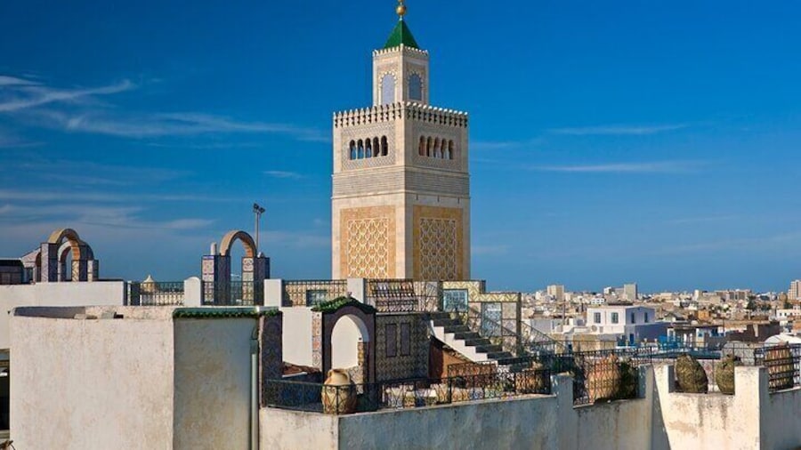 Full Day Private Tour in Tunis from La Goulette Cruise Port