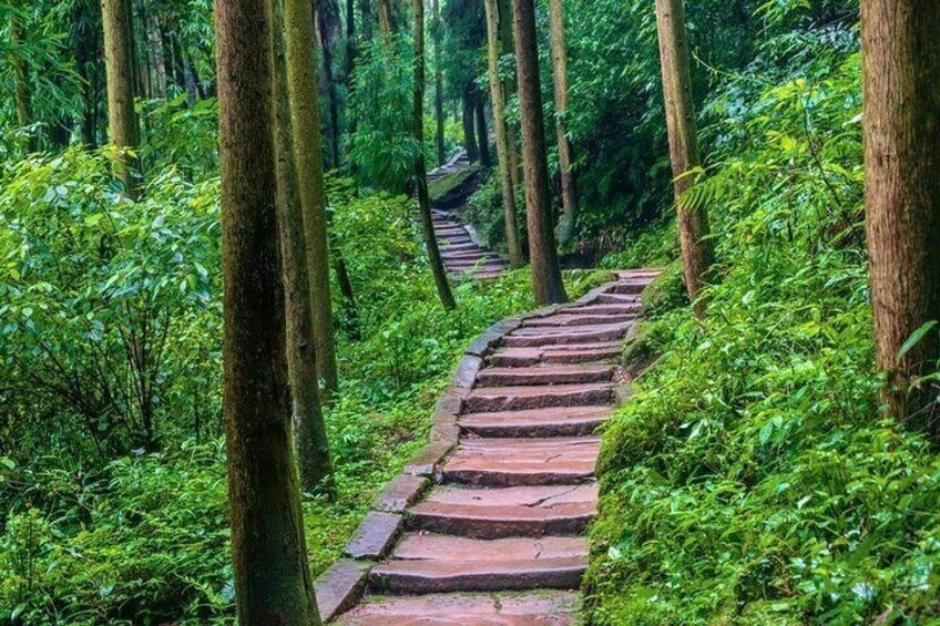 Private Day Tour to Mount Qingcheng Dujiangyan Irrigation System