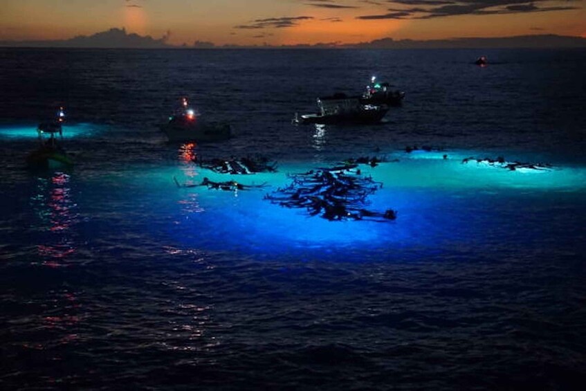 Picture 1 for Activity Kailua-Kona: Manta Ray Watching Nighttime Boat Trip