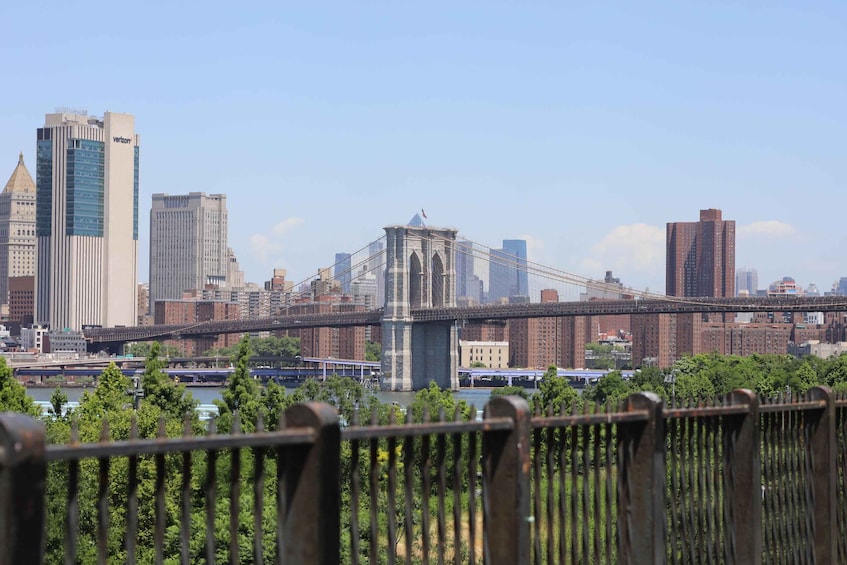 Picture 2 for Activity From Manhattan: 2-Hour Brooklyn Bridge Bike Tour