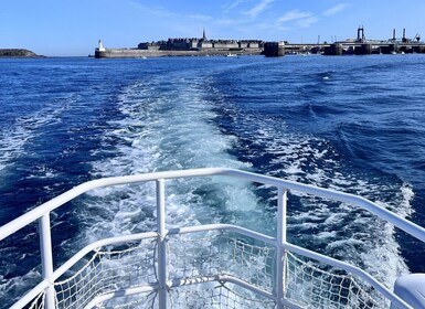 Saint-Malo: Small-group boat tour with a local