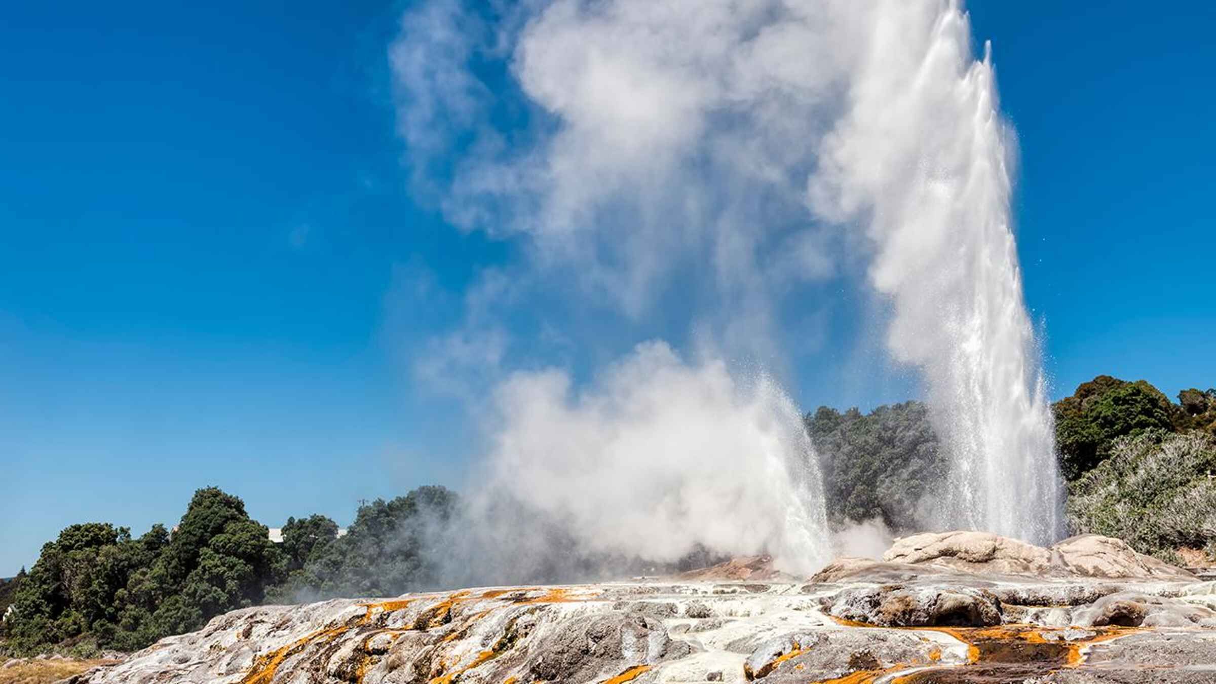 From Auckland: 1-Way Transfer to Rotorua with Hobbiton Tour