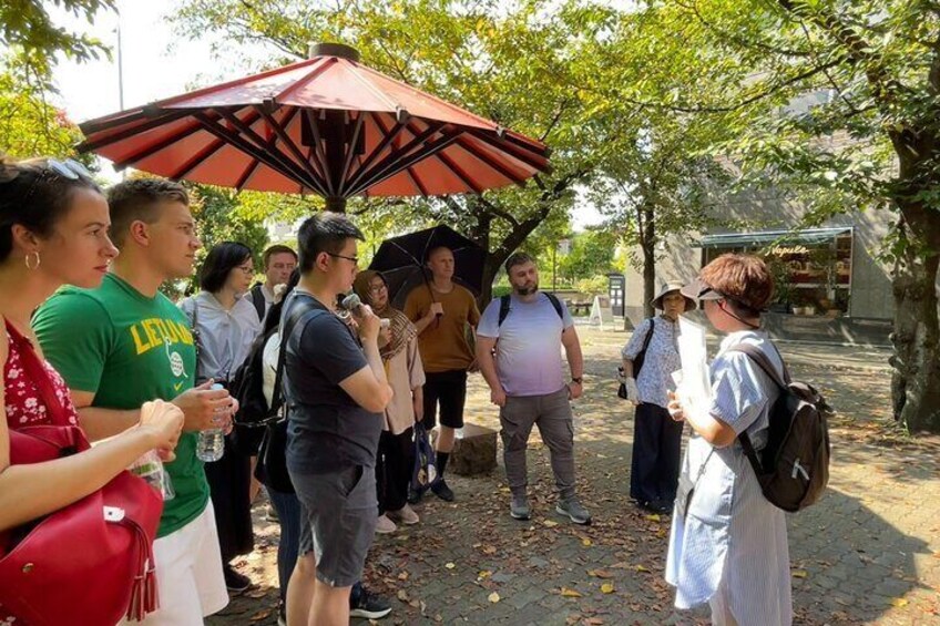 Kyoto Geisha Encounter and Cultural Gion Walking Tour