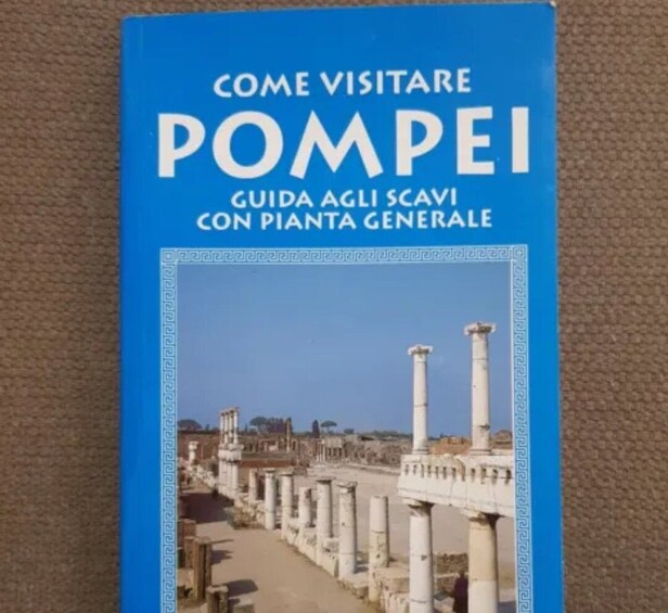 Picture 4 for Activity Pompeii: Skip-the-Line Entry Ticket with Book