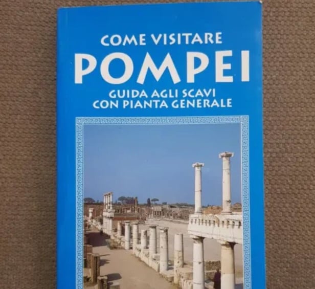 Picture 4 for Activity Pompeii: Skip-the-Line Entry Ticket with Book