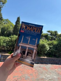 Pompeii: Skip the line ticket (art) + guide book + map