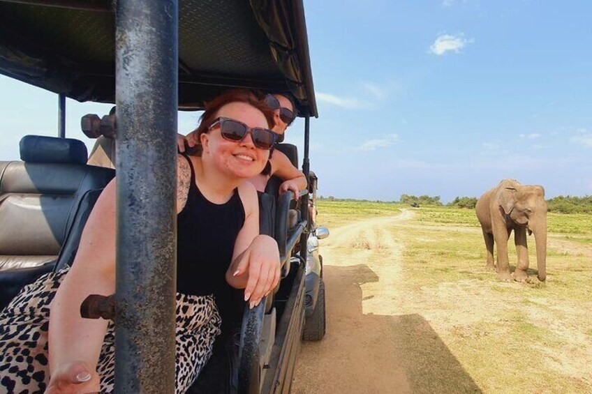 Half Day Private Tour to Udawalawe National Park Jeep Safari