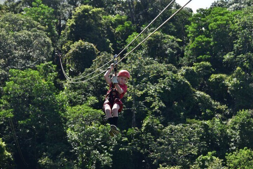 zip lines for the whole family
