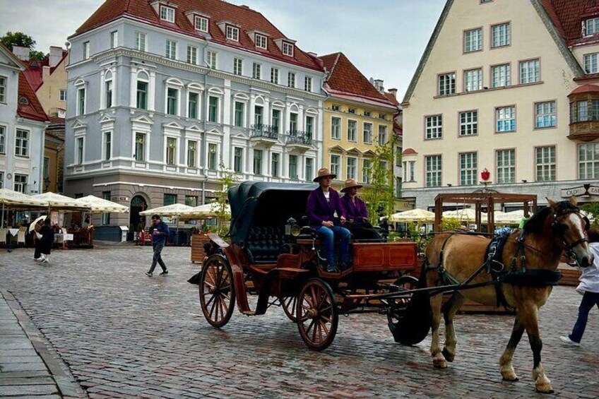 Guided Old Town Tallinn Historical Walking Tour