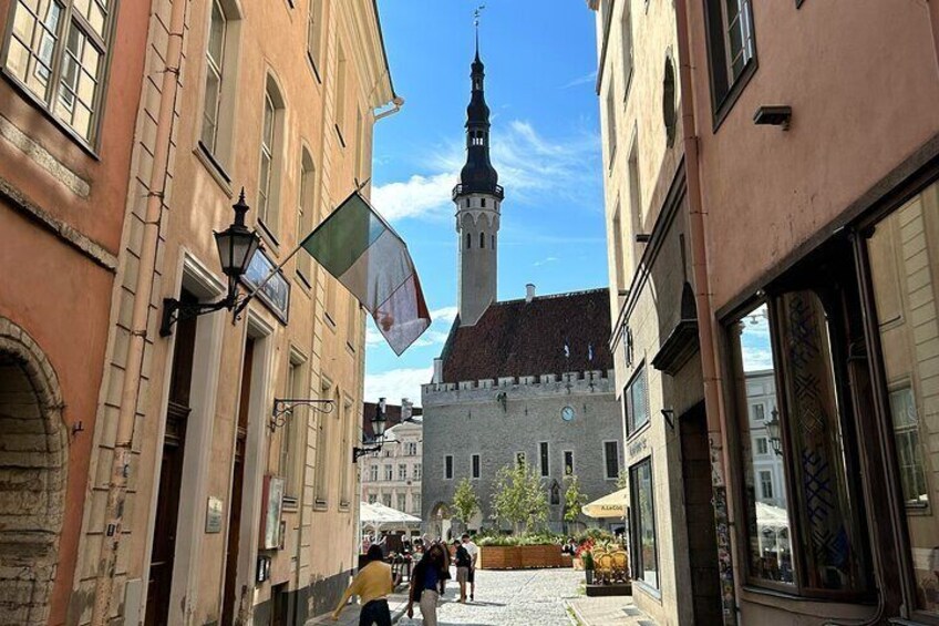 Guided Old Town Tallinn Historical Walking Tour