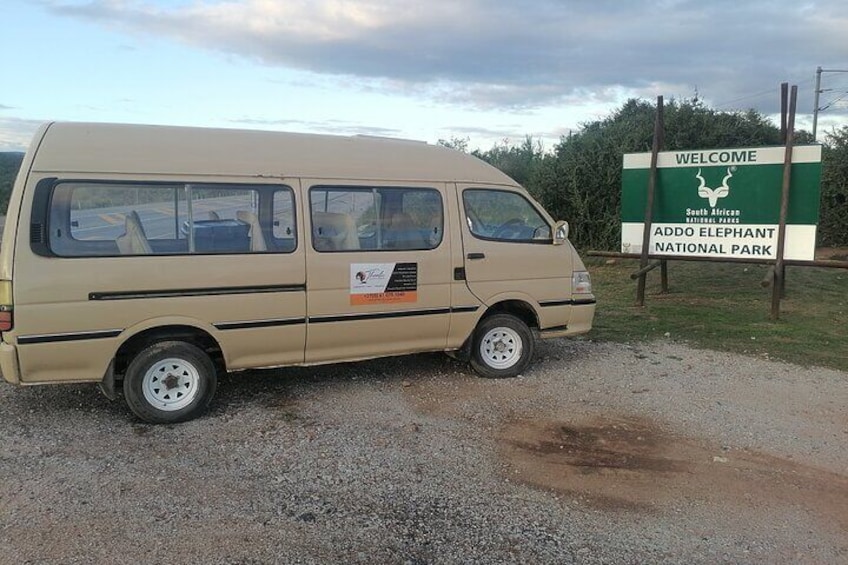 Full Day Addo Elephant National Park Safari wit BBQ:Thentic Tours