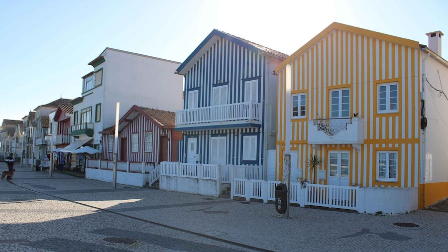 Costa Nova and Barra Beach Tour