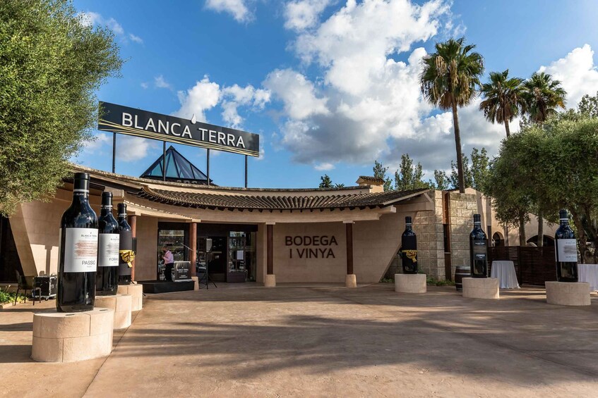 Mallorca: Blanca Terra Bodega Ticket - optional Wine Tasting