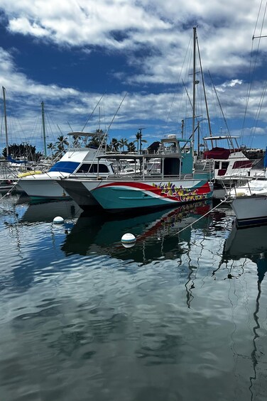 Picture 2 for Activity Kailua-Kona: Captain Cook Reef Catamaran Day Trip with Lunch