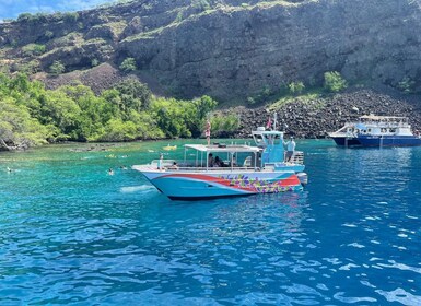 Kailua-Kona: Captain Cook Reef Catamaran Day Trip with Lunch