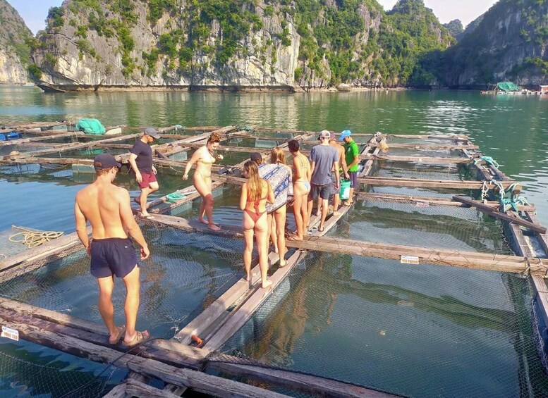 Picture 9 for Activity Cat Ba island: Full-Day Cruise to Lan Ha Bay and Ha Long Bay