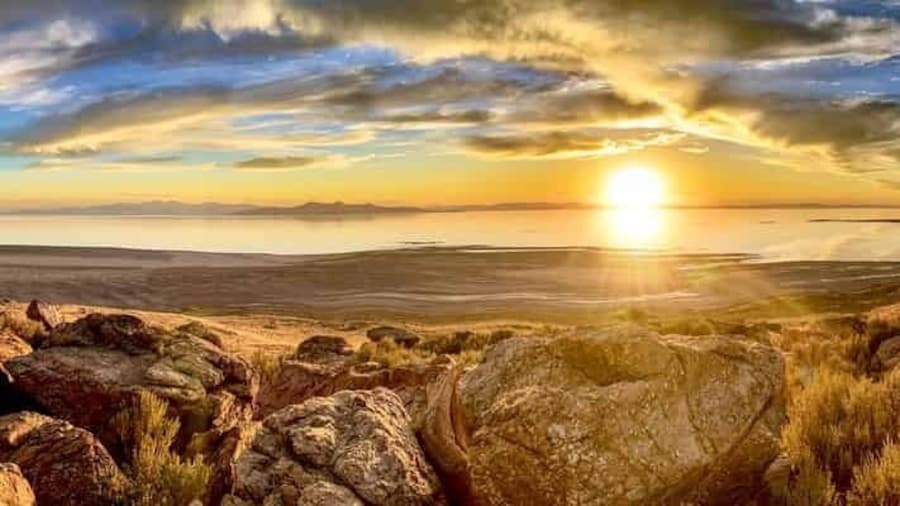 Picture 6 for Activity Salt Lake City: Great Salt Lake Wildlife & Sunset Experience