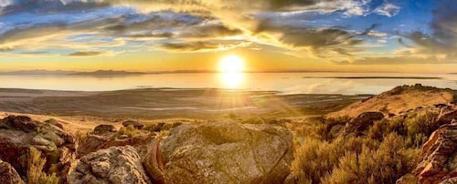 Salt Lake City: Great Salt Lake Wildlife & Sunset Experience