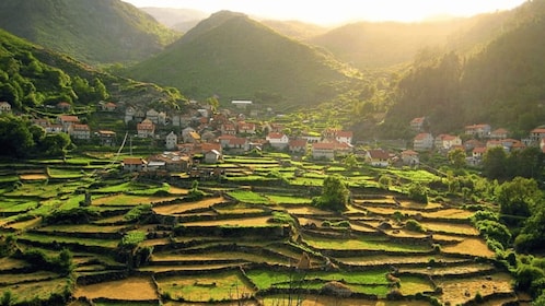 Tur ke Parque Nacional Peneda-Gerês dengan pemandu lokal