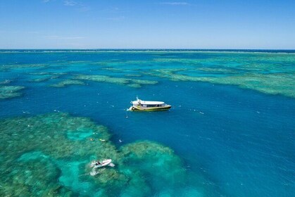 IN ONE DAY: Great Barrier Reef Snorkel + Whitehaven + Hill Inlet