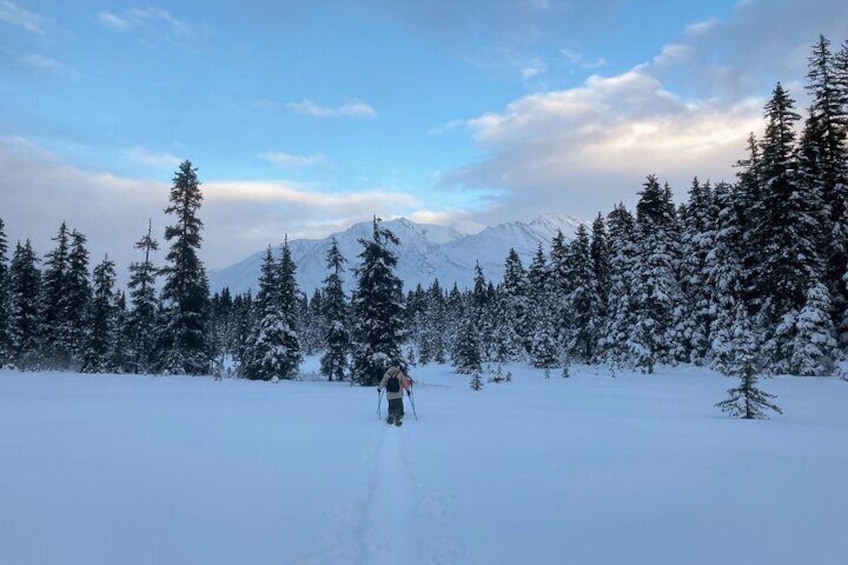 Guided Snowshoeing Adventure in Seward, Alaska