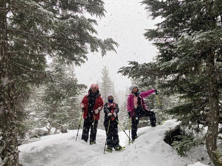 Guided Snowshoeing Adventure in Seward, Alaska