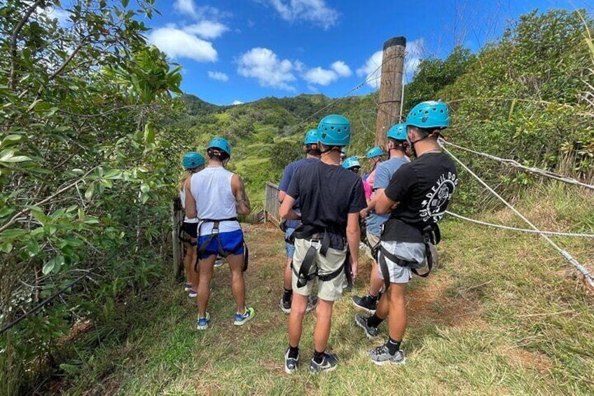 8 Line Zipline Tour