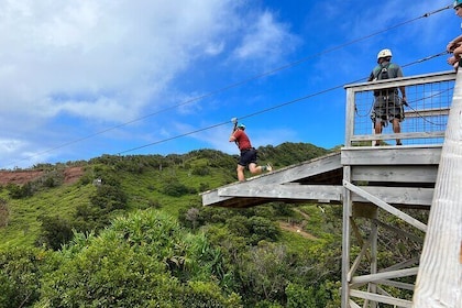 8 Line Zipline Tour