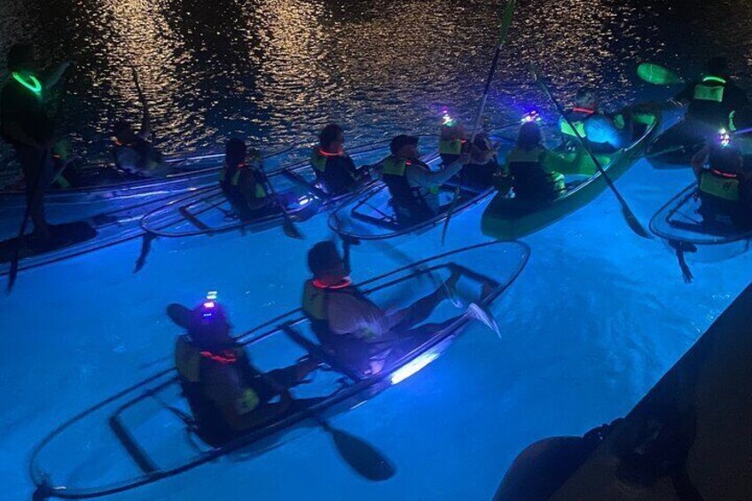 Night Kayak Tour St. Thomas - Westin Frenchman's Reef