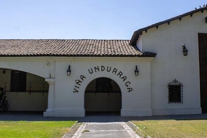 Private Tour to Undurraga Vineyard from Santiago