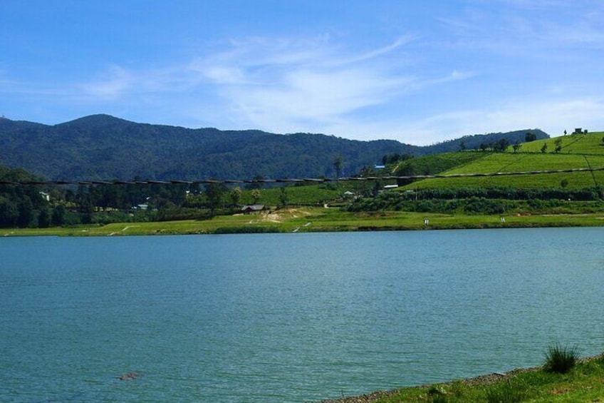 Kandy to Nanu Oya Shuttle & Nuwara Eliya Sightseeing Tour