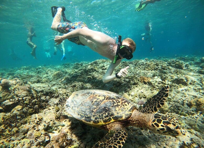 Picture 3 for Activity Gili Trawangan : Private Snorkeling 4 Spots with Gopro