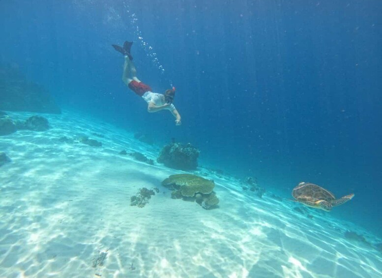 Picture 4 for Activity Gili Trawangan : Private Snorkeling 4 Spots with Gopro