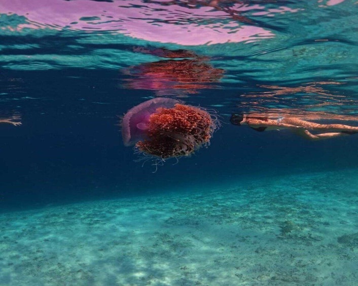 Snorkeling Gili Islands Coral Turtle & Underwater Statues