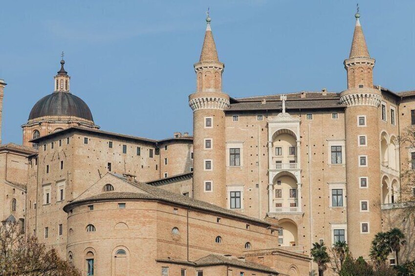 Guided Group Tour of Ducal Palace and Le Marche National Gallery
