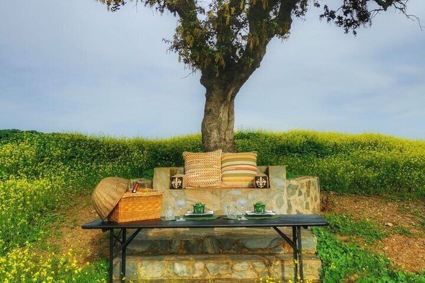 Mértola's Stunning Countryside Picnic