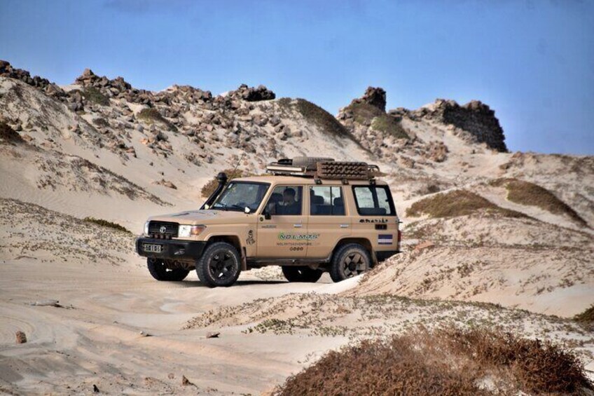 Boa Vista: 4h North Jeep Expedition Off-Road