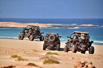 Boa Vista 4h South Buggy Adventure 1000cc