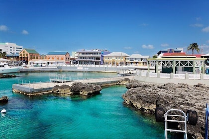 Heldags privat kysttur i George Town fra George Town Port