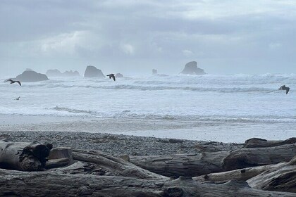 Private Astoria Coast Tour through Cannon Beach