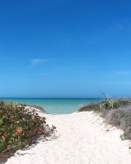 Las Coloradas Pink Lake Experience & Cancunito Beach from Merida