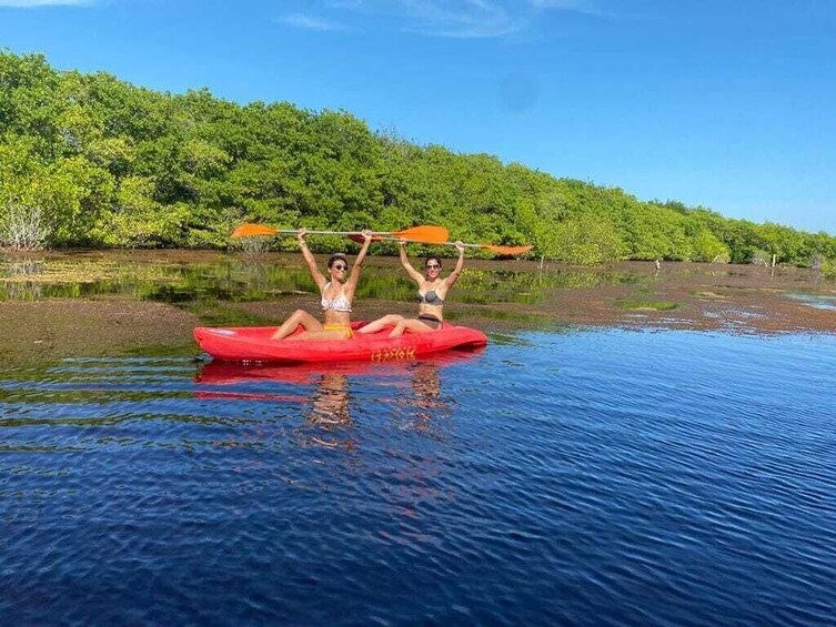 Sisal Beach & Mangrove Boat Ride Experience from Merida
