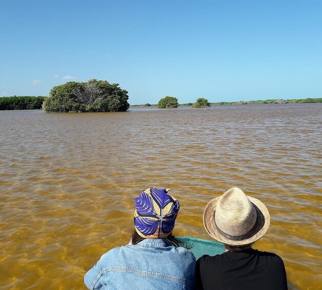 Sisal Beach & Mangrove Boat Ride Experience from Merida 