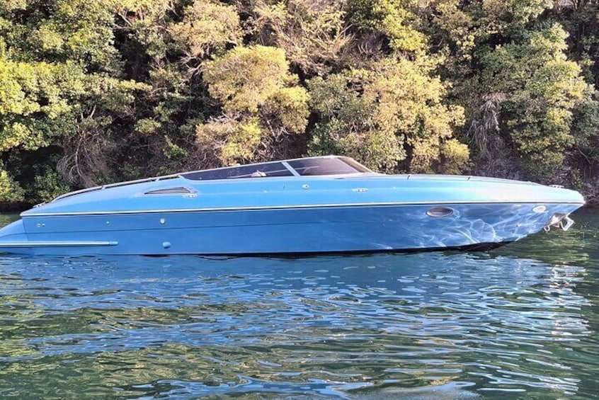 Full-Day Grand Tour, private speedboat at Lake Como