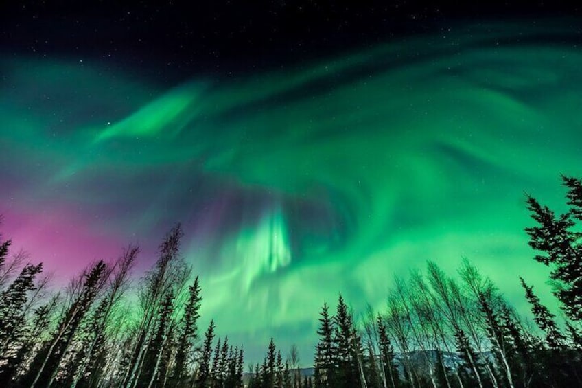 Unforgettable and Fabulous Northern Lights in Reykjavík