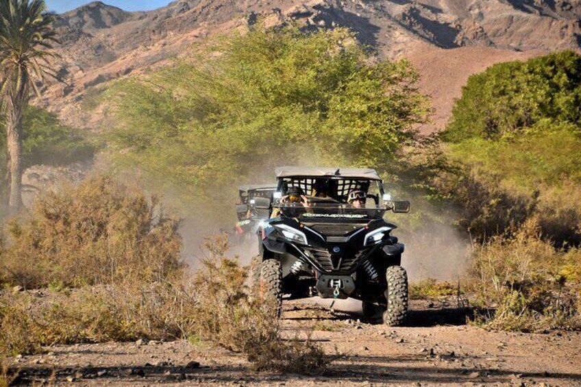 Boa Vista 2h Buggy Death Valley Adventure 1000cc