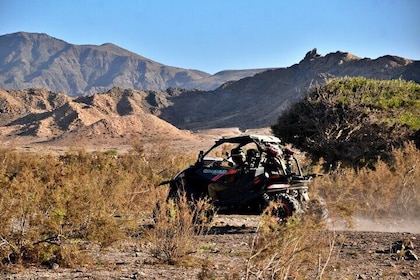 Boa Vista 2h Buggy Death Valley Adventure 1000cc